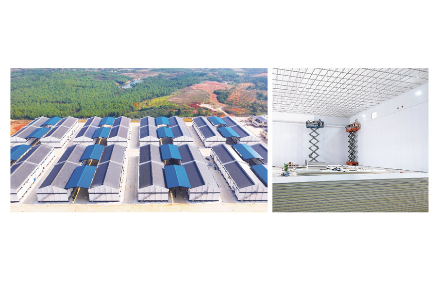 國家儲備糧（廣東/江西省儲糧）改造項目